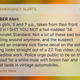 Illustration for article titled 5 AMBER Alerts That Were Sent Out That Were Clearly More Focused On How Sweet The Car Was